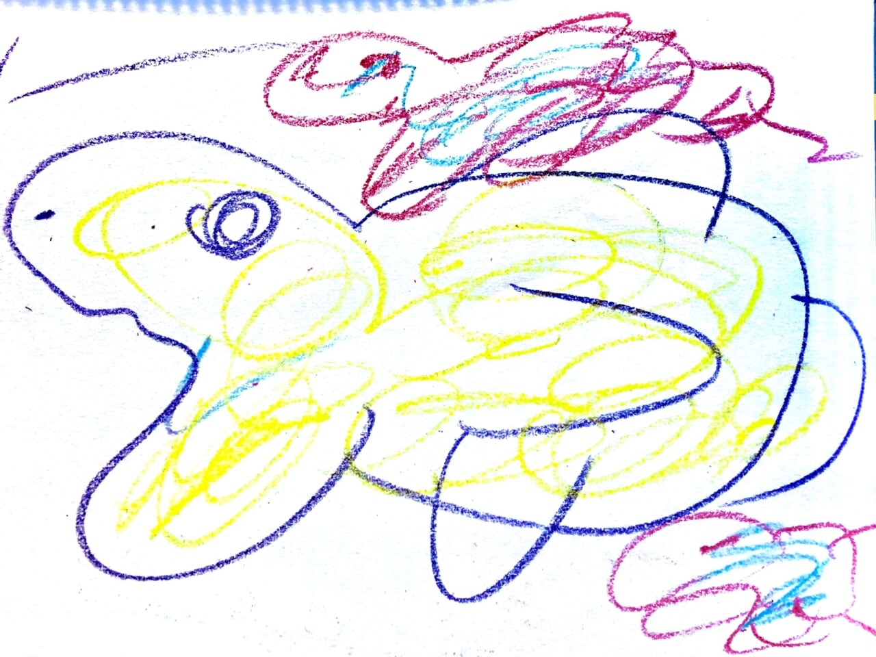#5歳 魚1